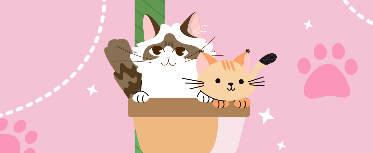 come creare una mascotte per la grafica social del proprio brand